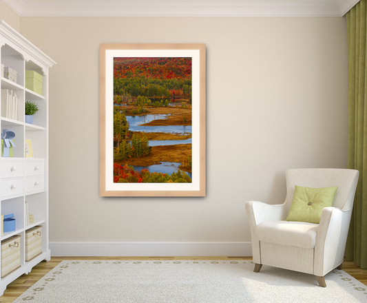 Autumn Over the Bog River
