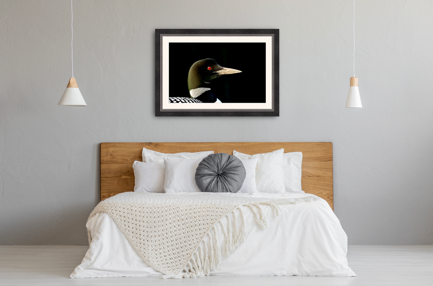 print of a Common Loon Adirondack Mountains