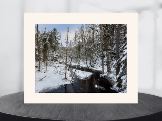Backcountry Brook - Lake Placid NY