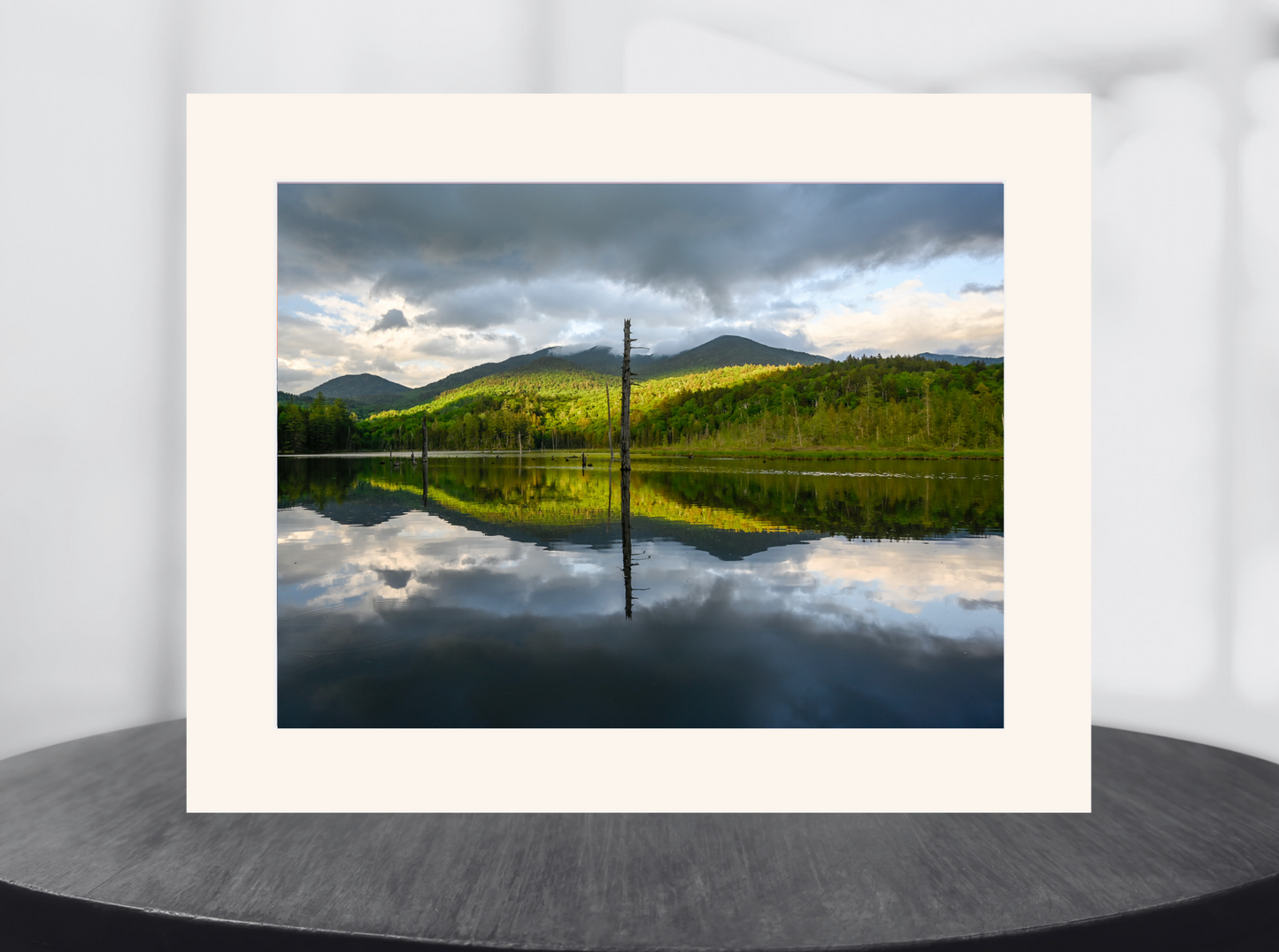 Adirondack Backcountry Reflections on a remote pond