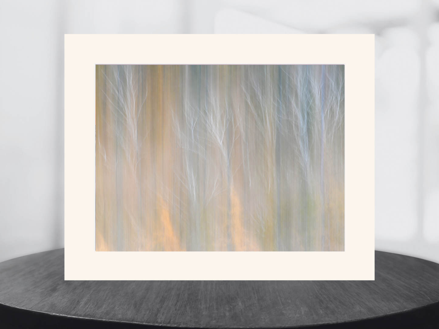 Birch Forest Abstract Art