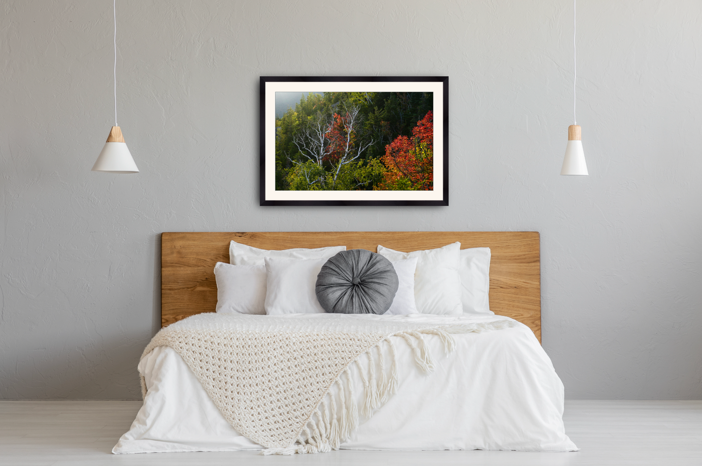 Birch Trees and Autumn Leaves Print