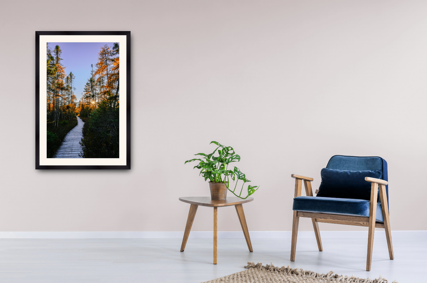 print of a Golden Tamarack Sunset Adirondack Mountains