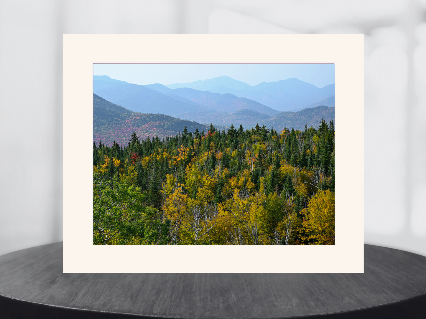 print of mountain layers and foliage Adirondack Mountains