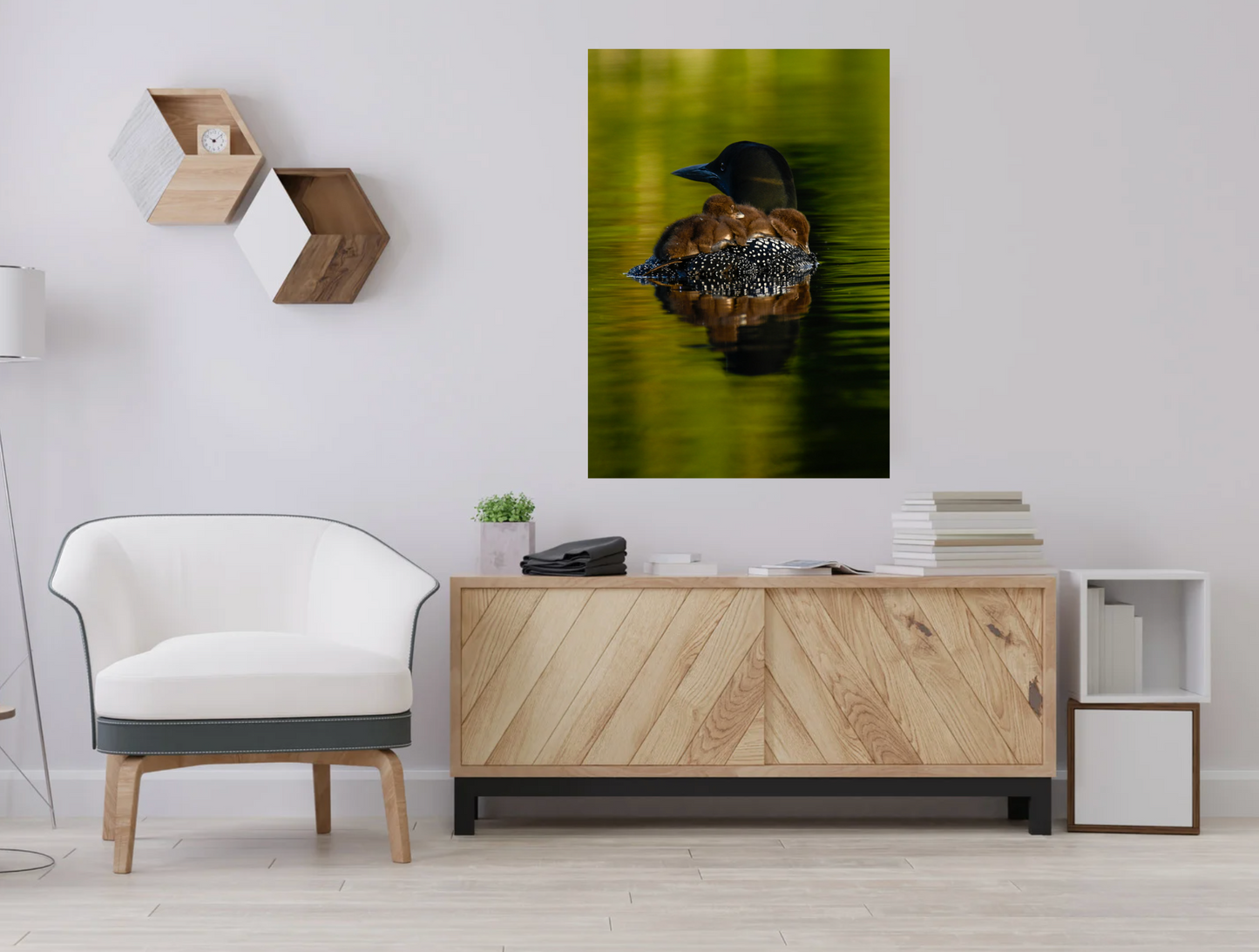 print of Mother Loon with Babies