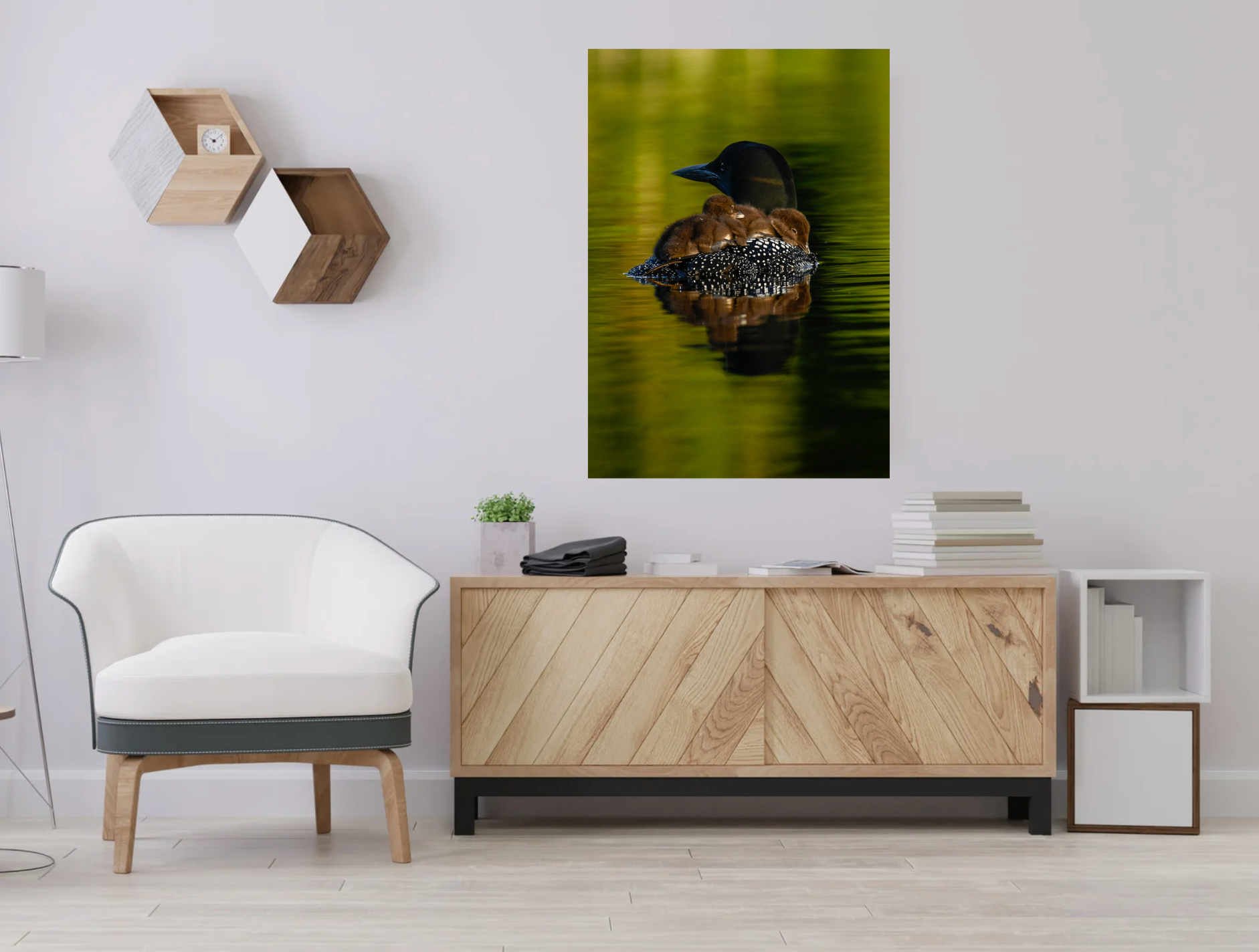print of Mother Loon with Babies