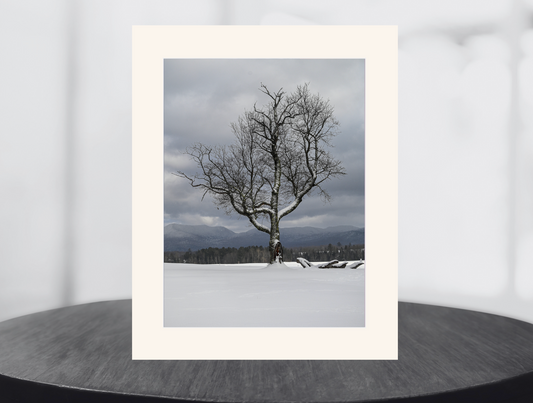 print of a lone tree