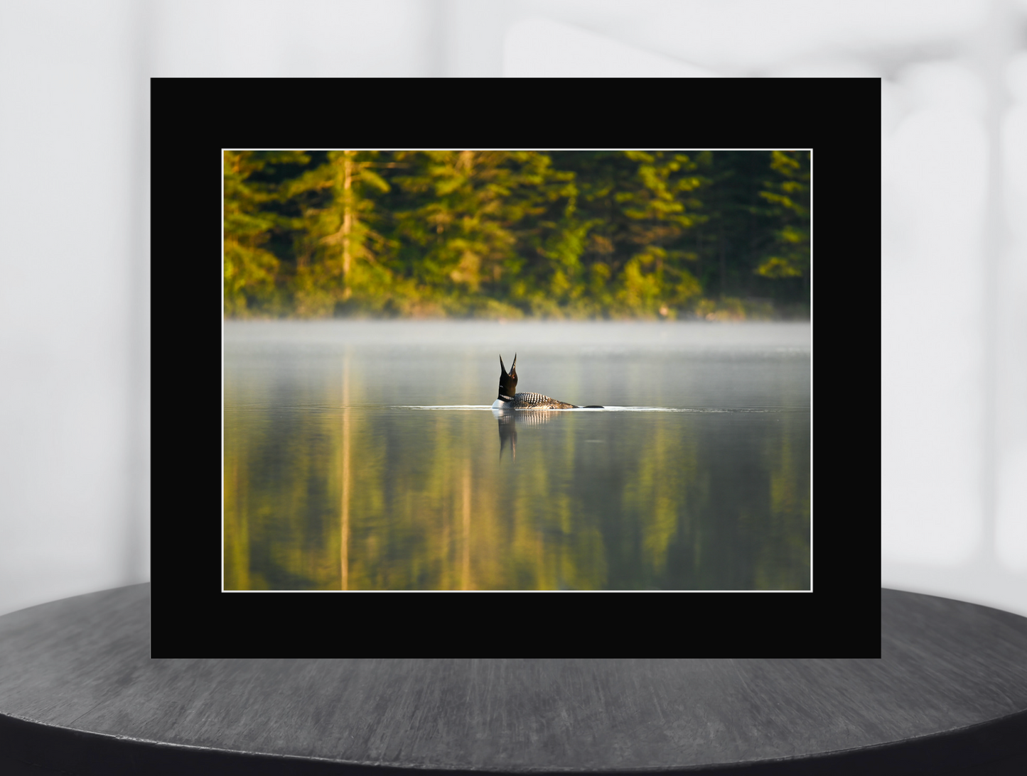 print of a common loon calling