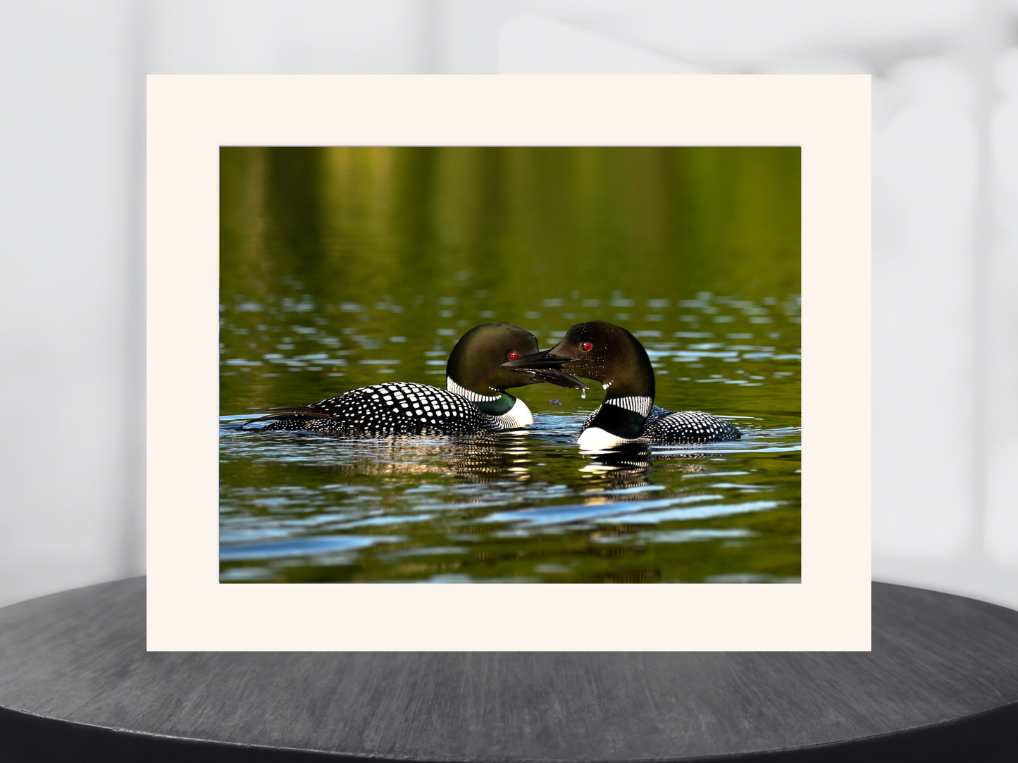print of common loons