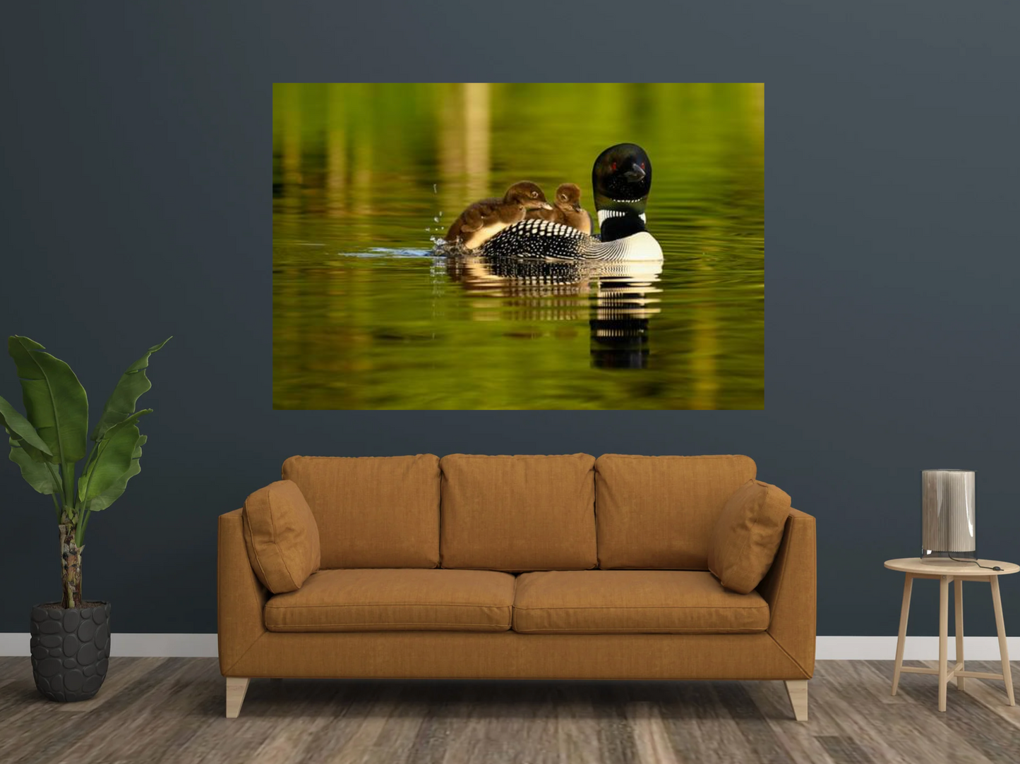 print of a mother loon and babies