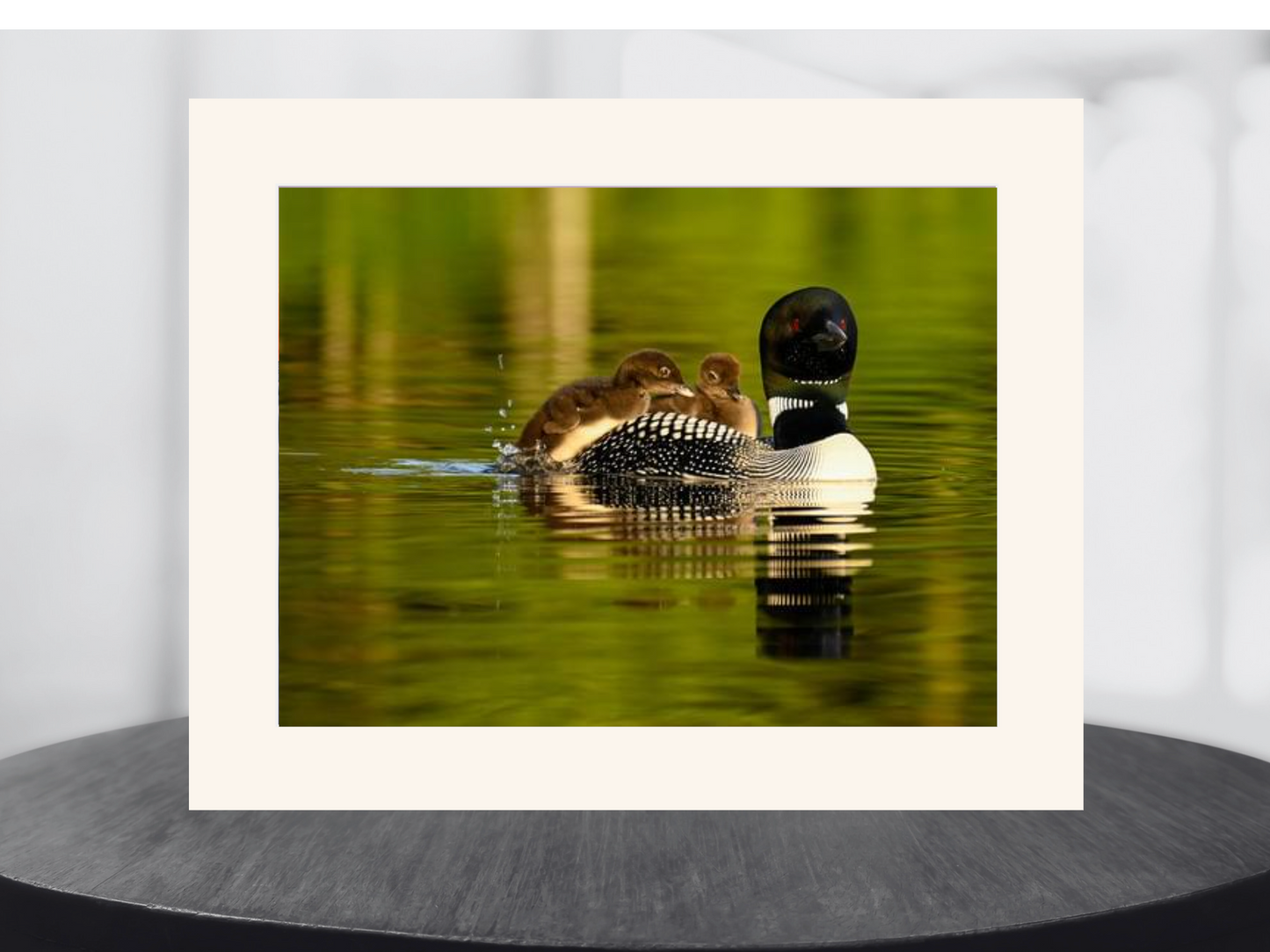 print of a mother loon and babies