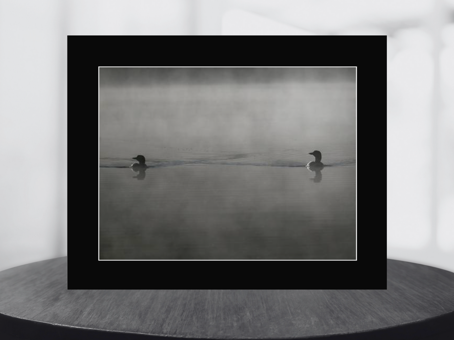 print of Loons in the Mist