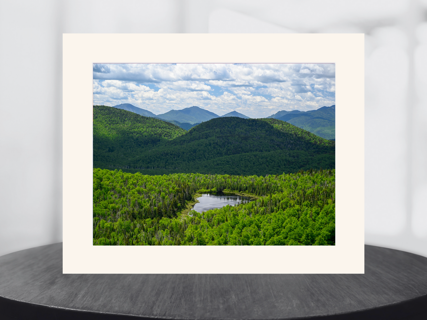 print of a pond in the Adirondack Mountains