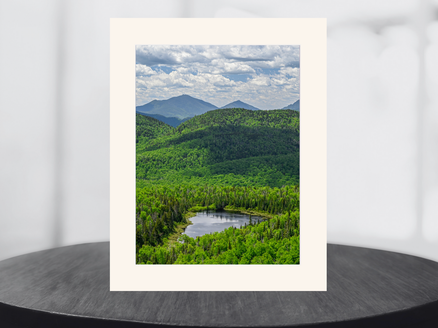 print of a lost pond Adirondack Mountains