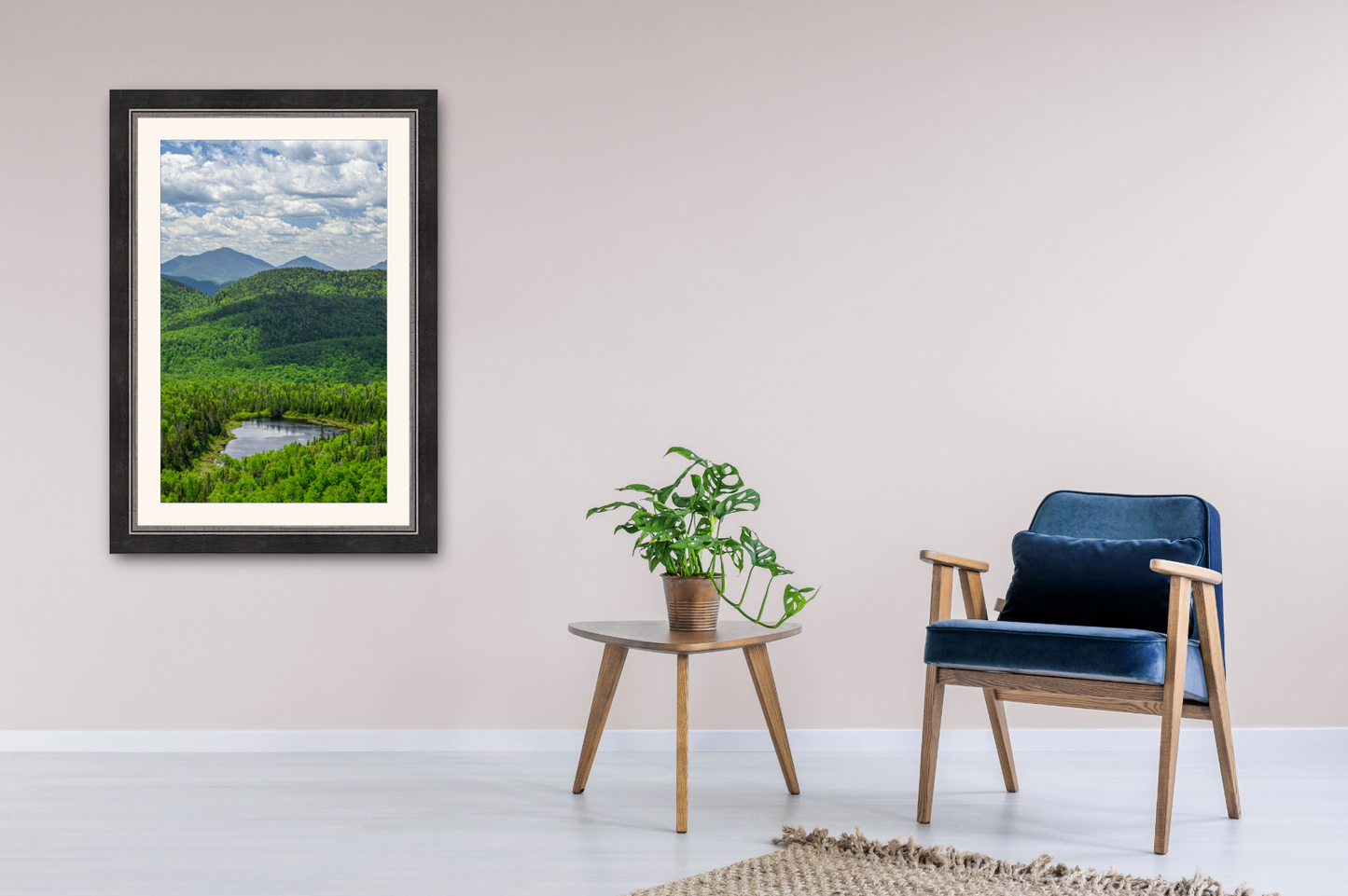 print of a lost pond Adirondack Mountains