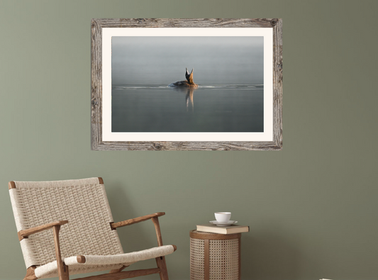 print of a baby loon