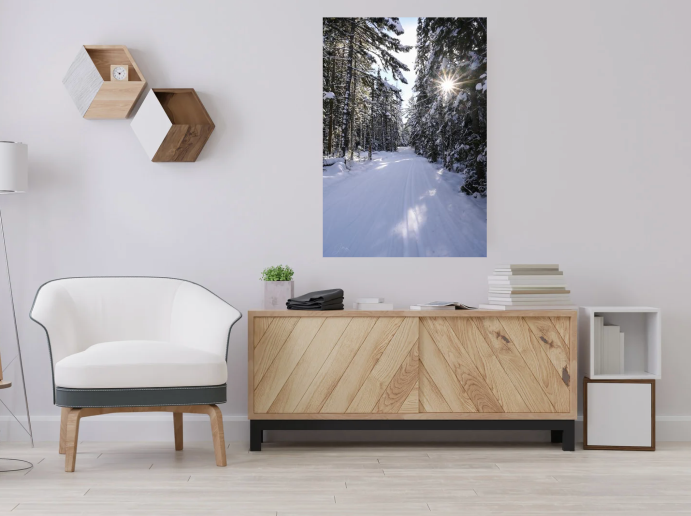 print of Ski Tracks in the Adirondacks