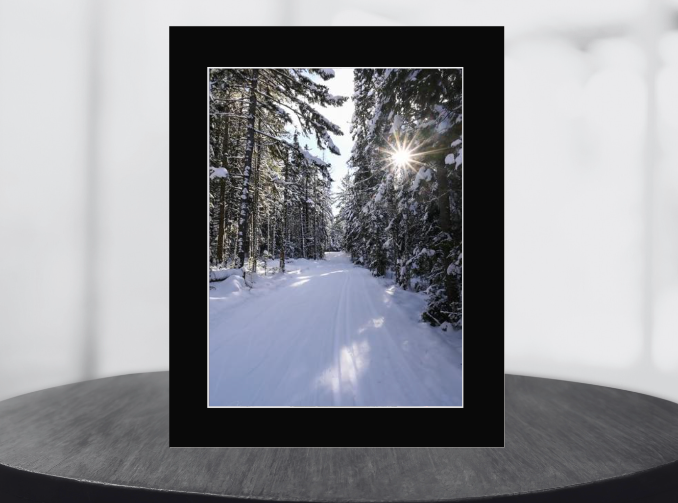 print of Ski Tracks in the Adirondacks
