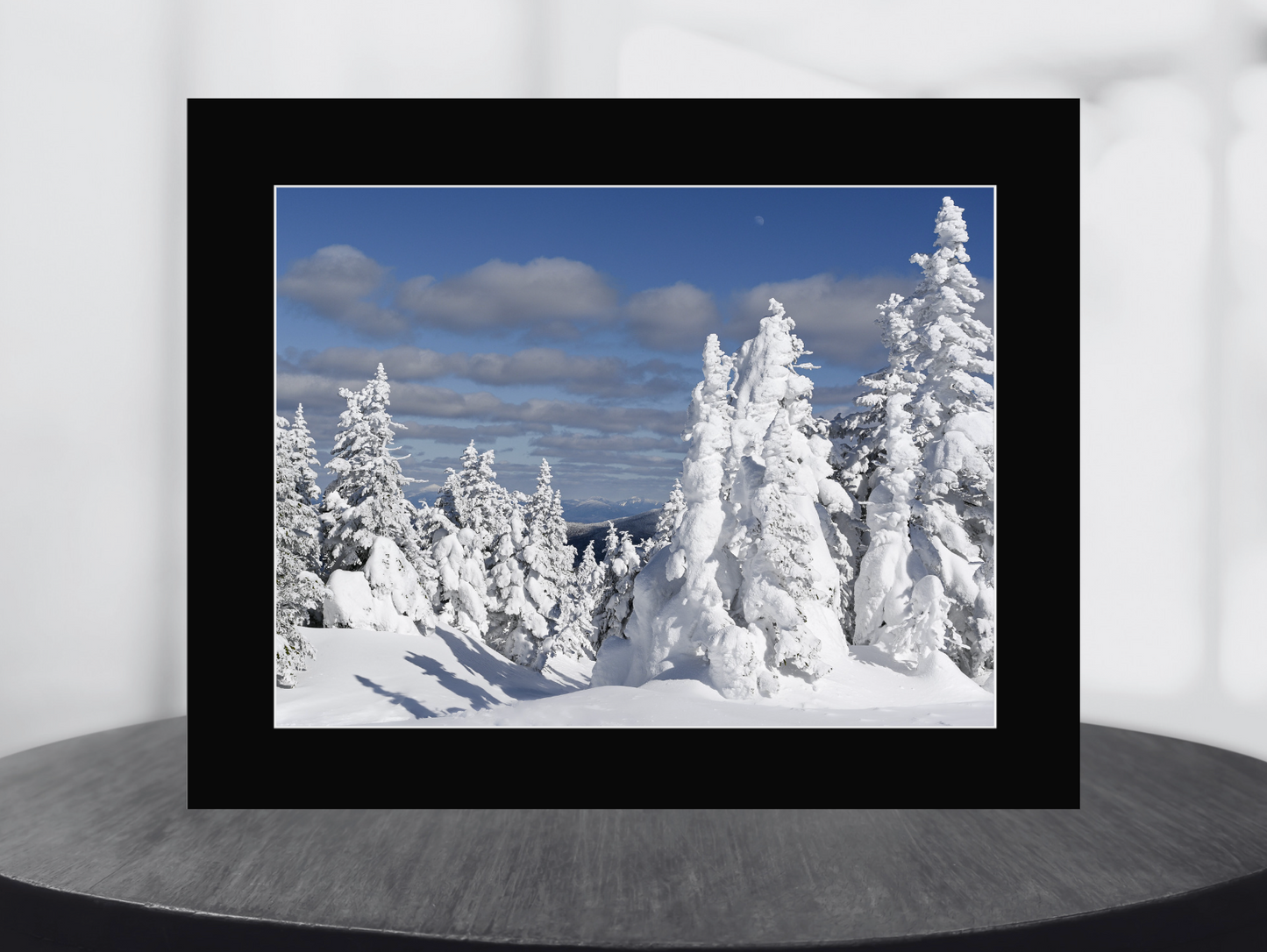 Print of Snowy Trees