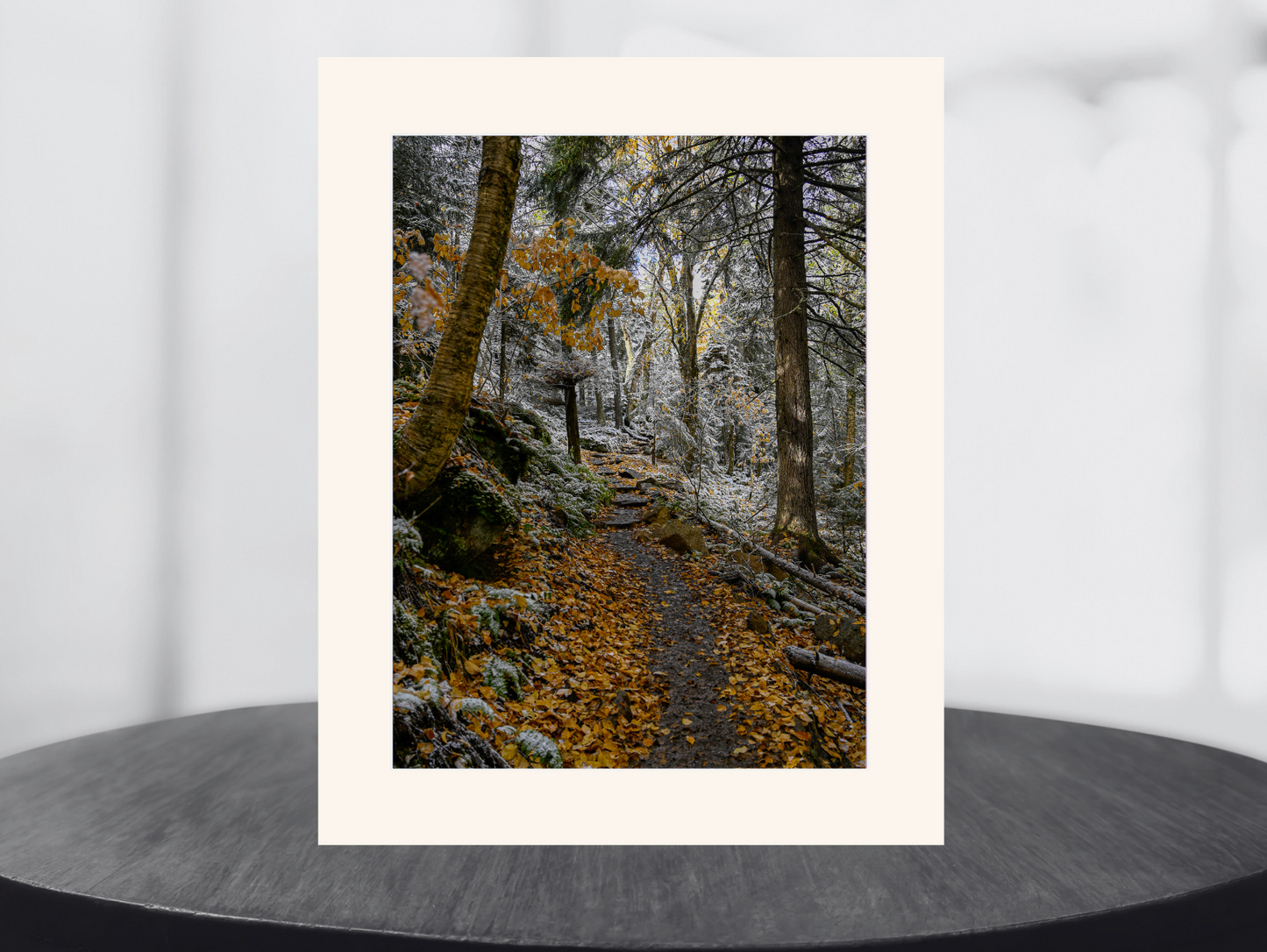 print of a snowy autumn trail