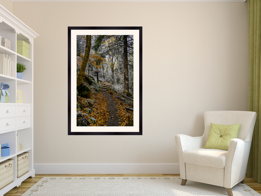 print of a snowy autumn trail