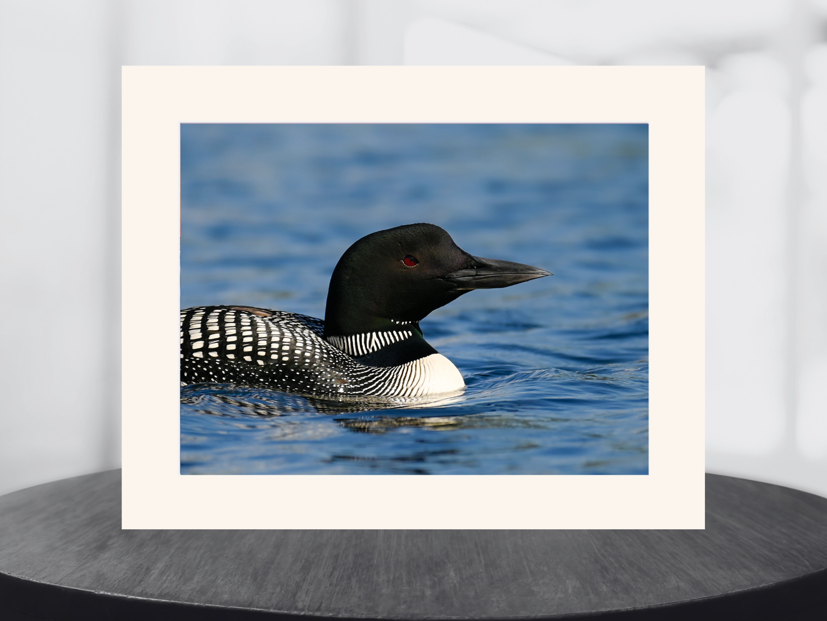 print of a Solitary Common Loon