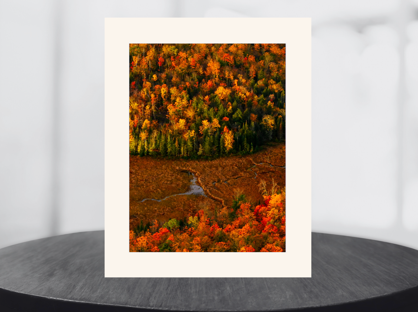 print of a river meandering through a meadow