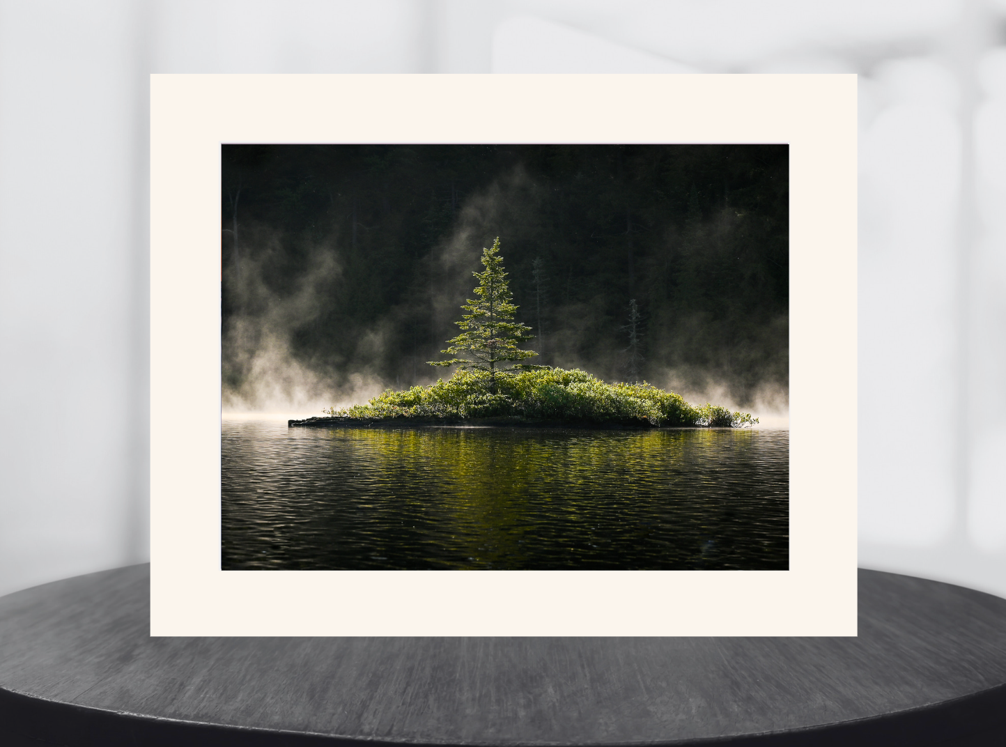 print of a Misty Morning tree on an adirondack pond