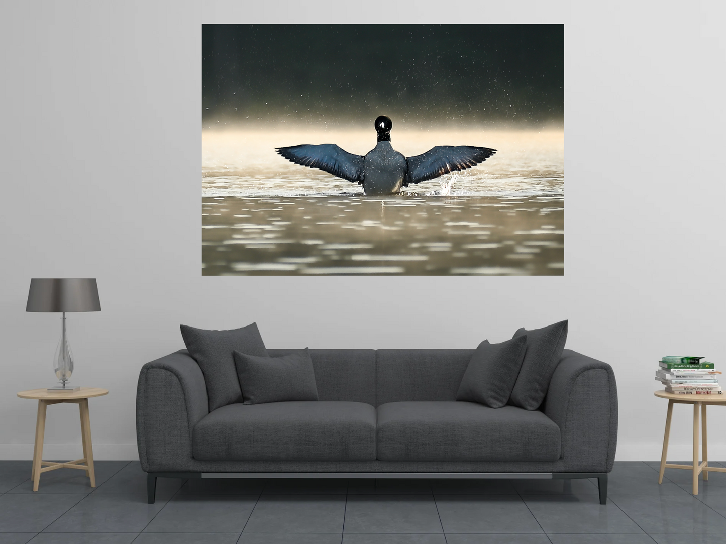print of a Common Loon Wingspread