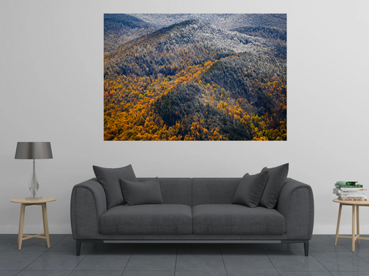 print of snow and foliage Adirondack Mountains 