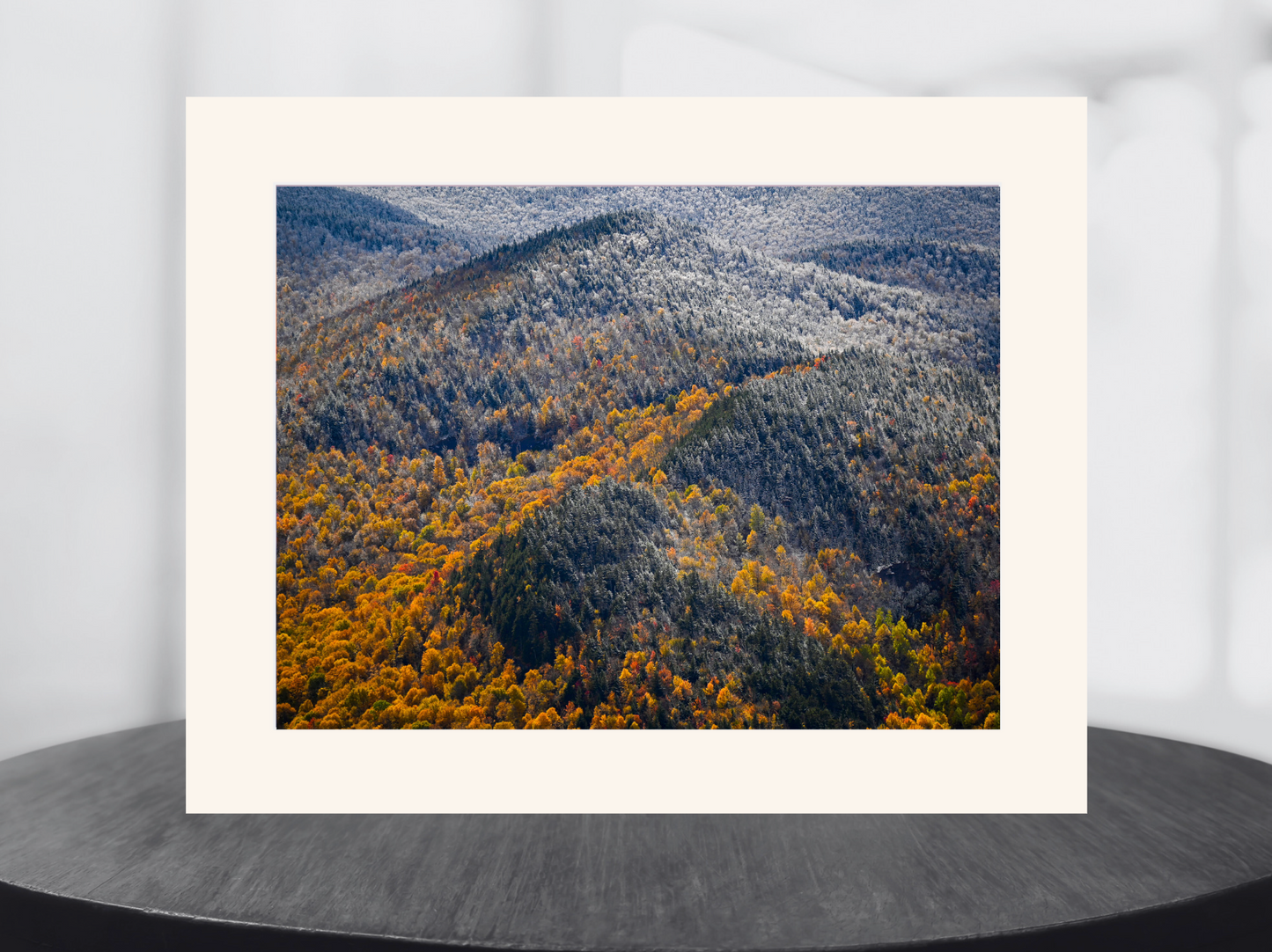 print of snow and foliage Adirondack Mountains