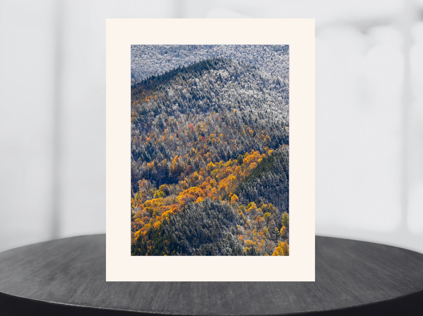 print of snow and foliage Adirondack Mountains