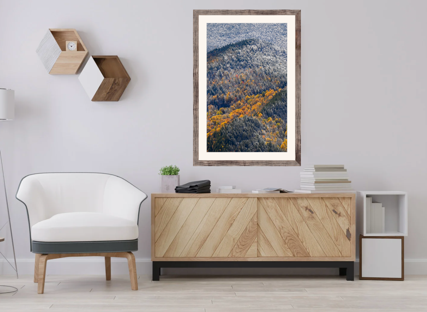 print of snow and foliage Adirondack Mountains