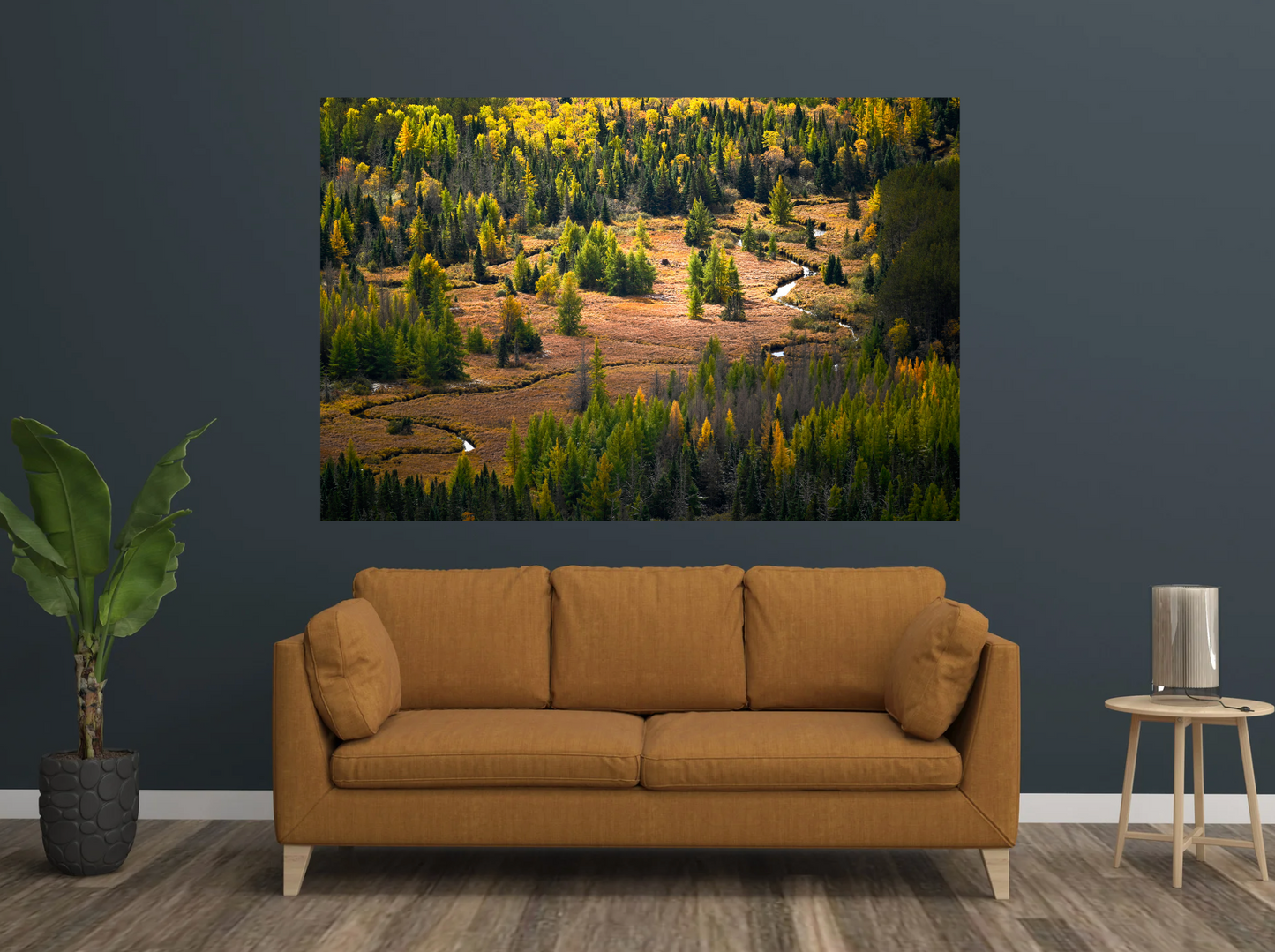 print of a river meandering through a tamarack filled meadow