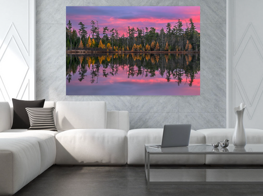 sunset with tamarack trees