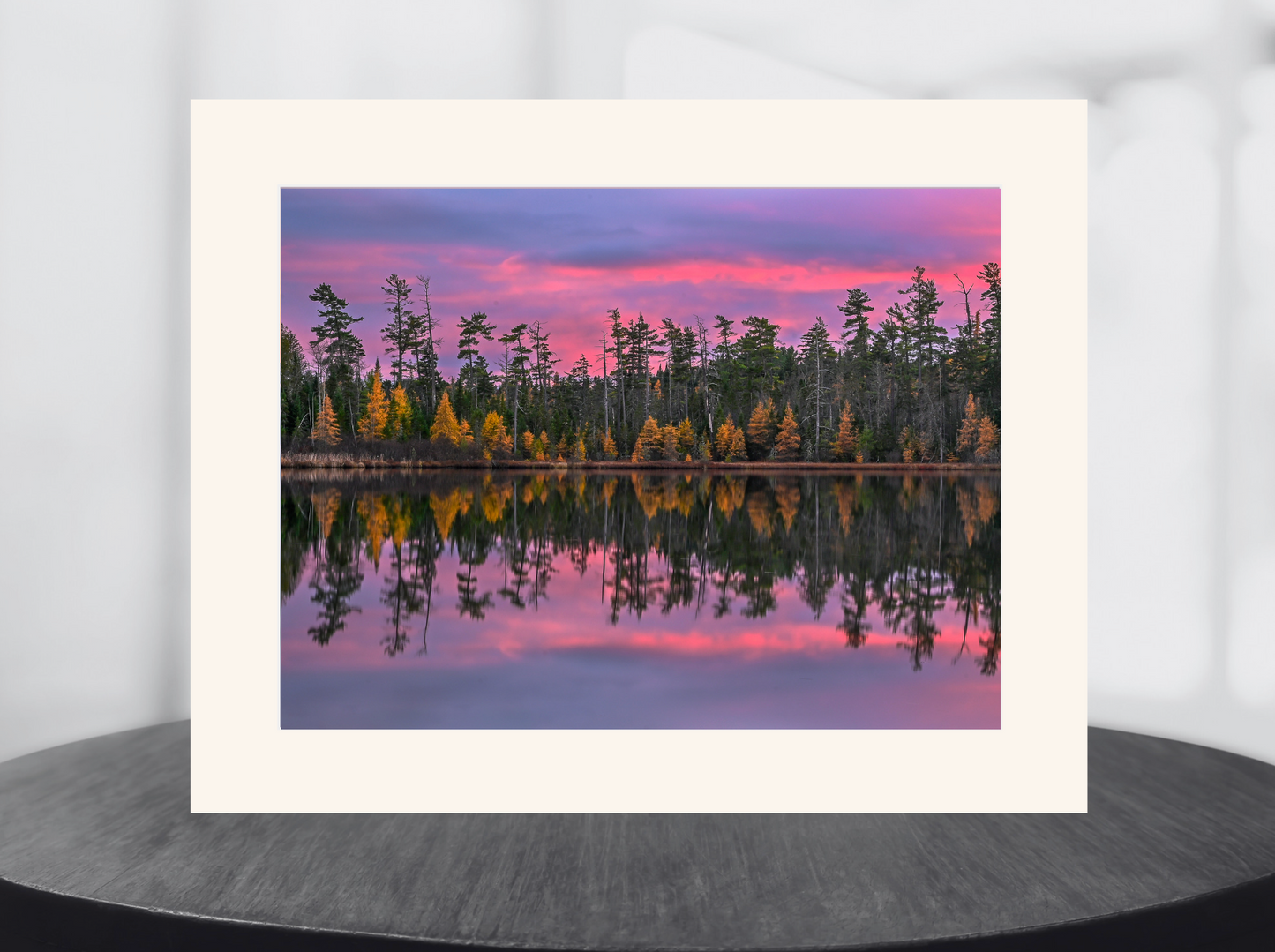 sunset with tamarack trees