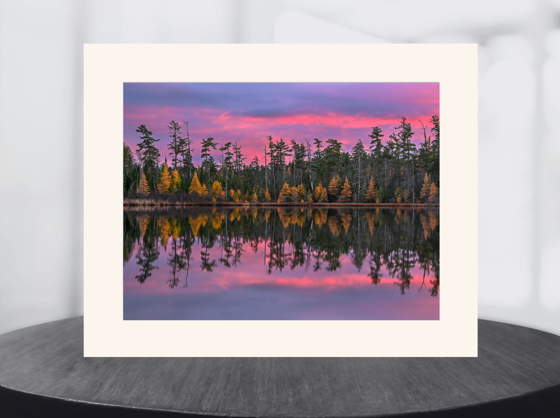 sunset with tamarack trees