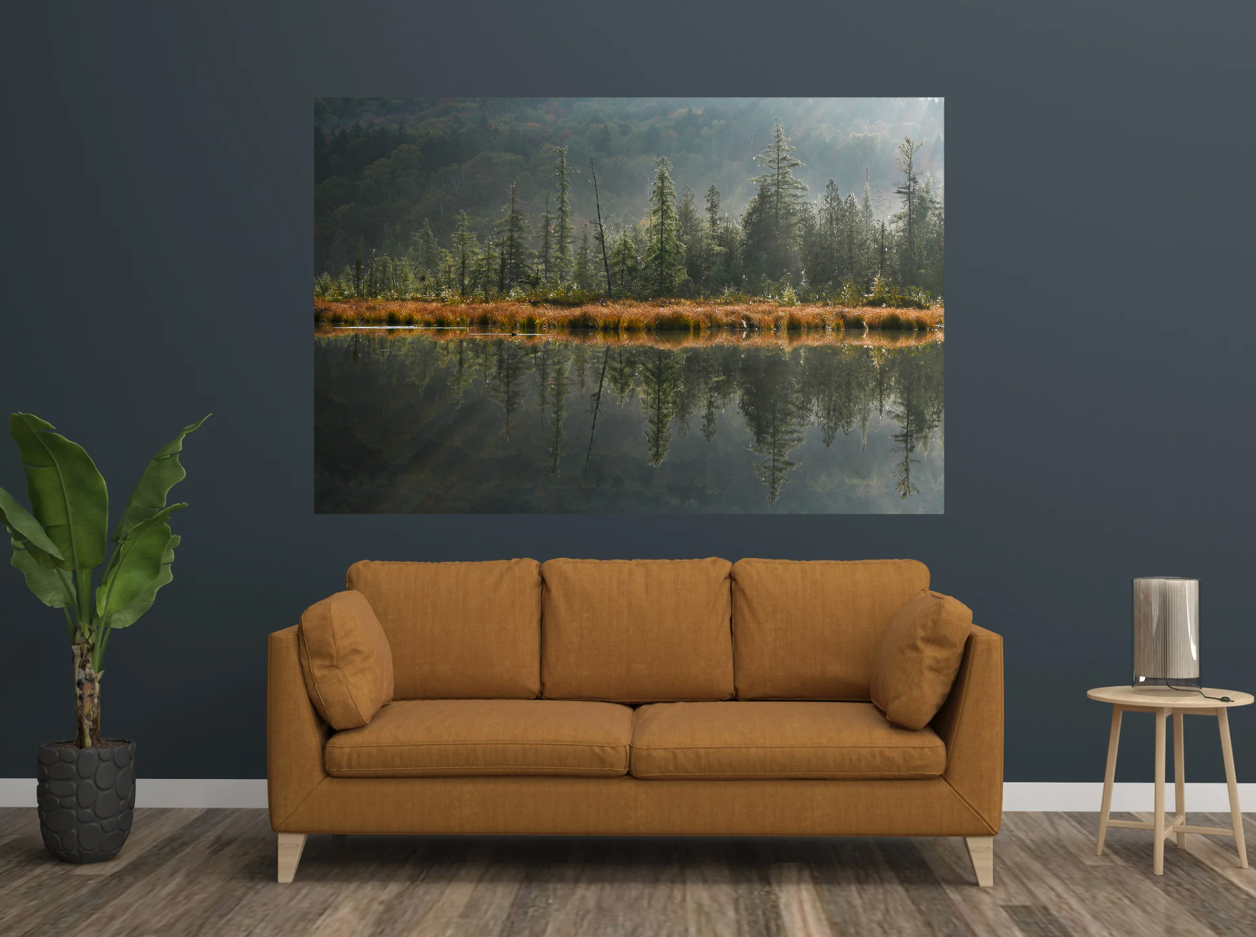 print of tamarack trees reflecting on a pond