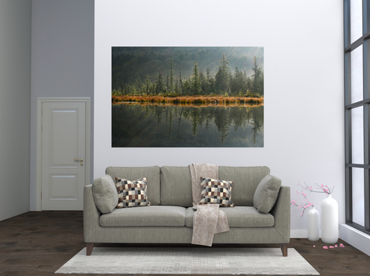 print of tamarack trees reflecting on a pond