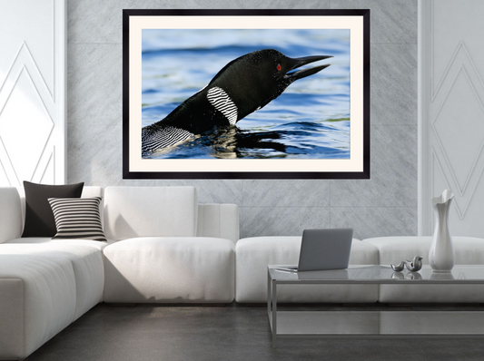 print of a loon call