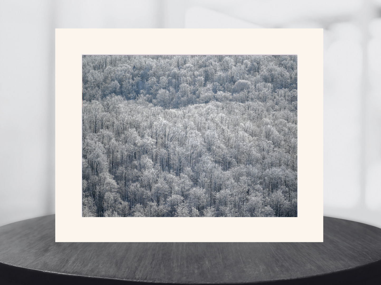 print of a frozen trees