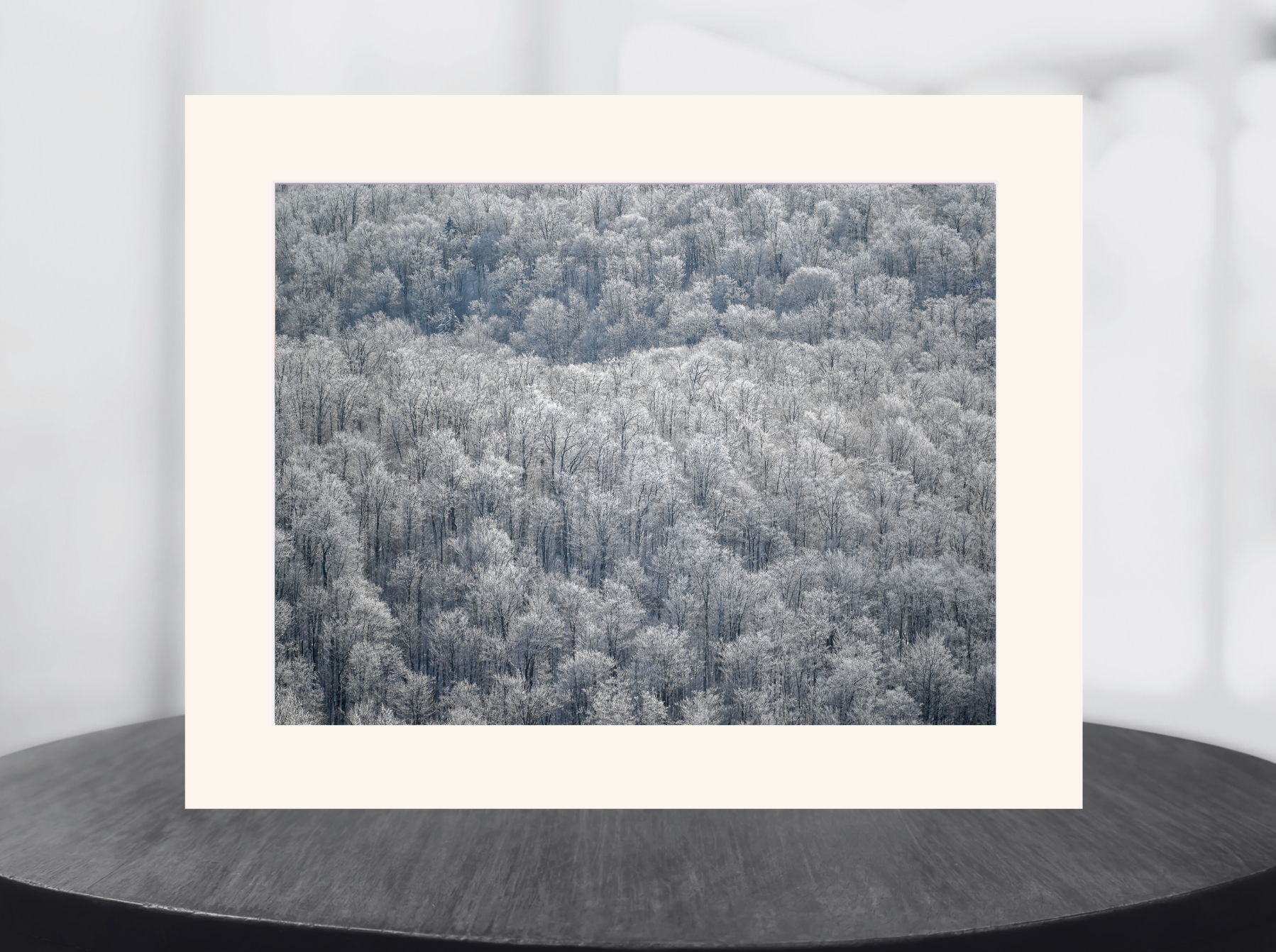 print of a frozen trees