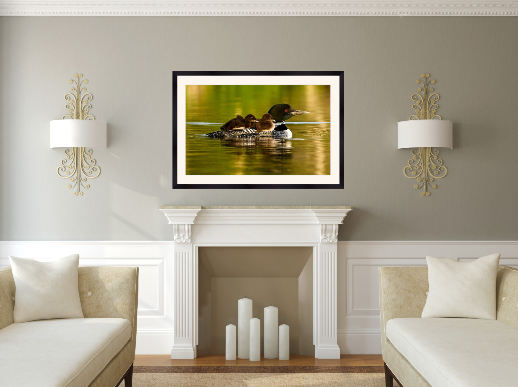 print of Mother Loon and Babies