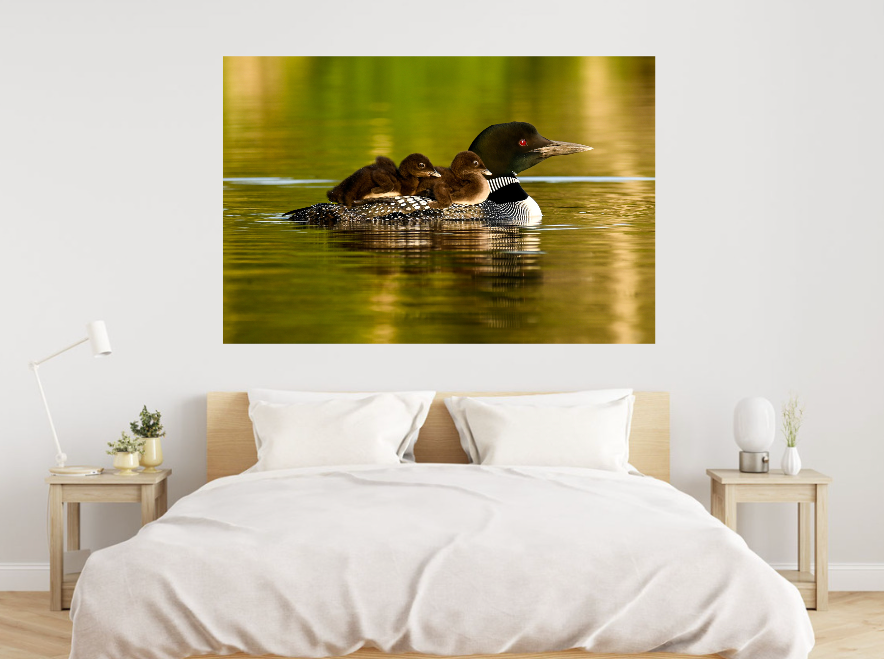 print of Mother Loon and Babies