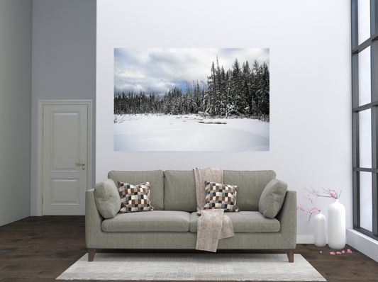 print of snow covered tamaracks