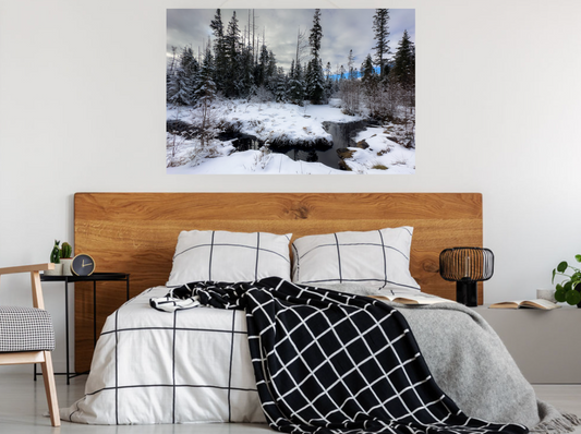 Print of a winter adirondack brook