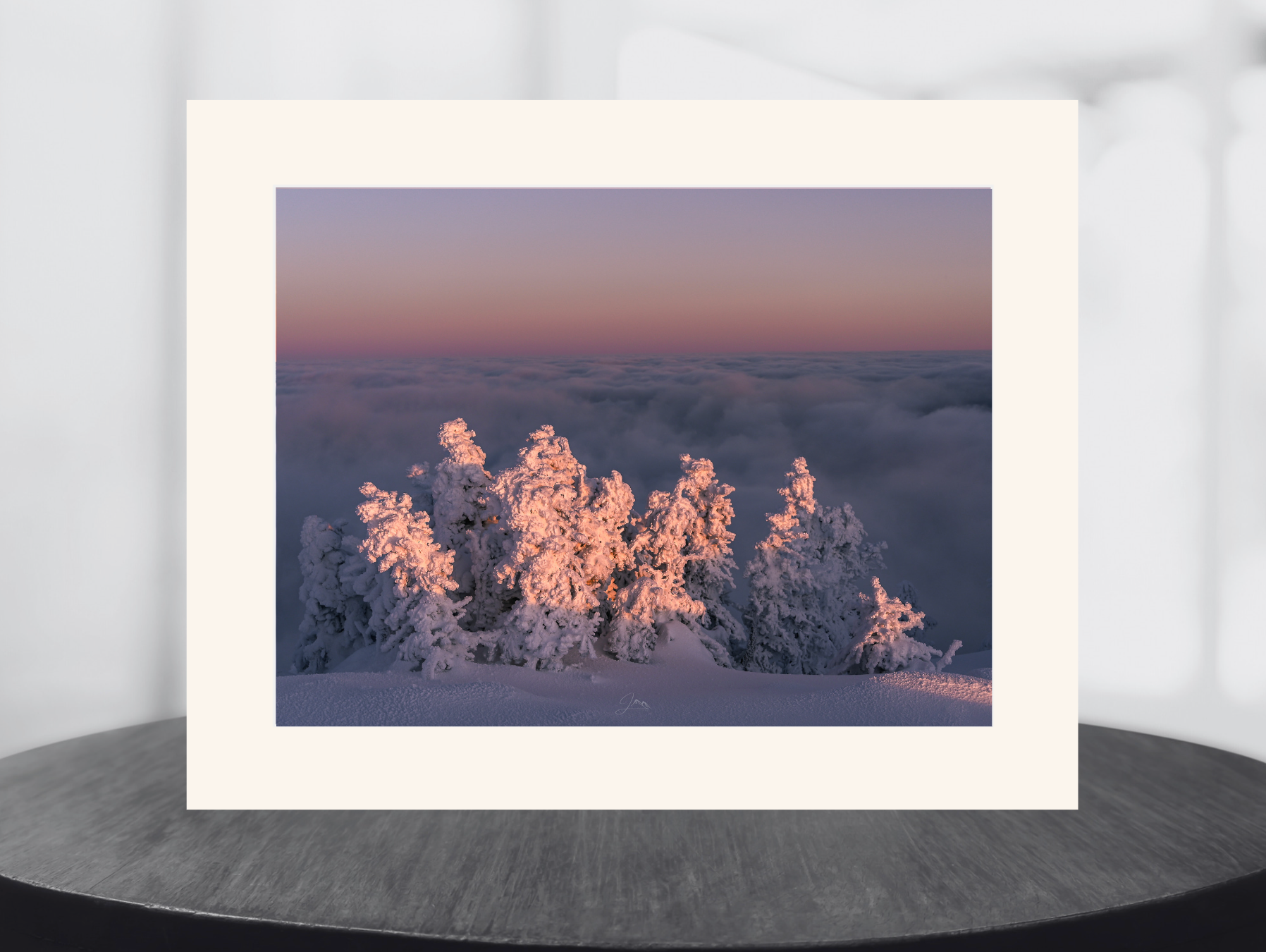 print of snow covered trees at sunset