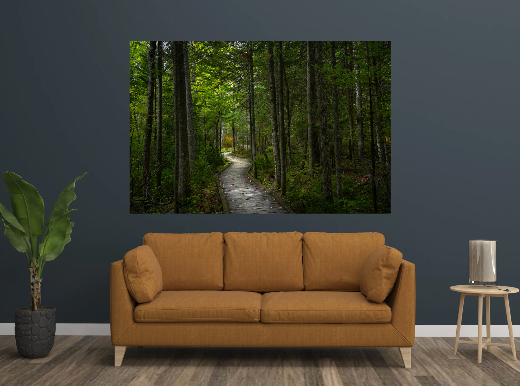print of a Woodland Boardwalk