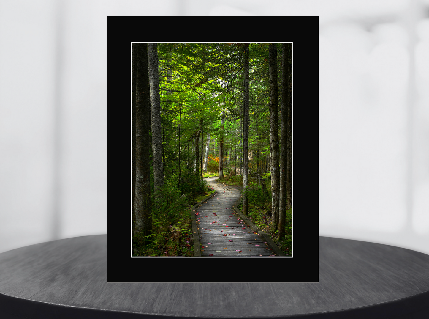 print of a Woodland Boardwalk