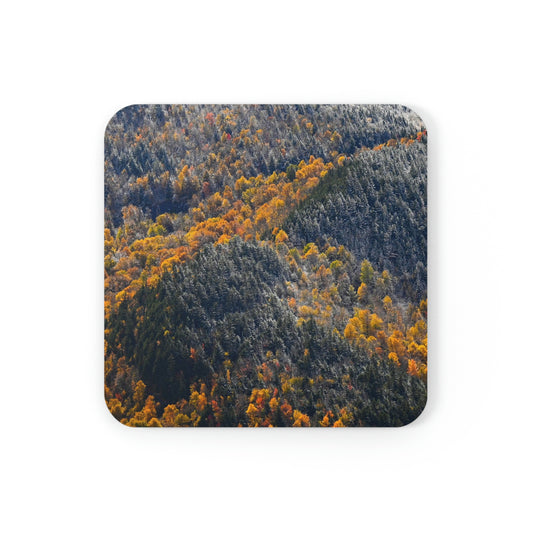 Cork Back Coaster - Seasons Collide